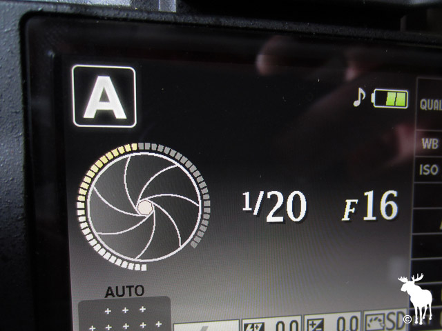 Nikon D5100 Aperture set to f/16 for Landscape Photography
