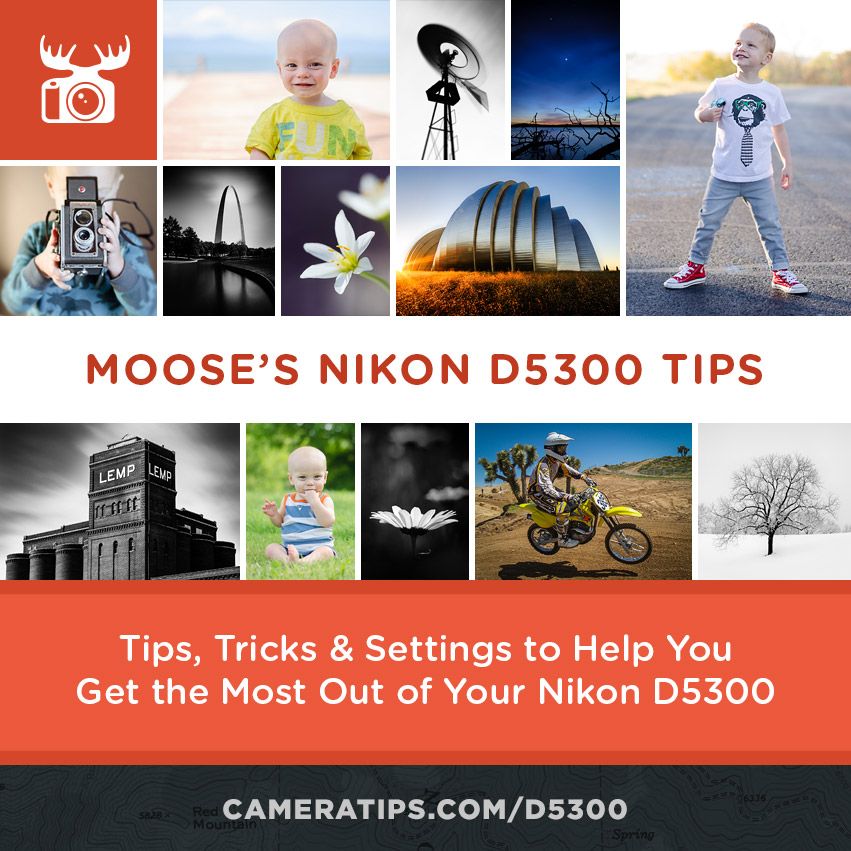 Moose S Nikon D5300 Tips Tricks Best Settings