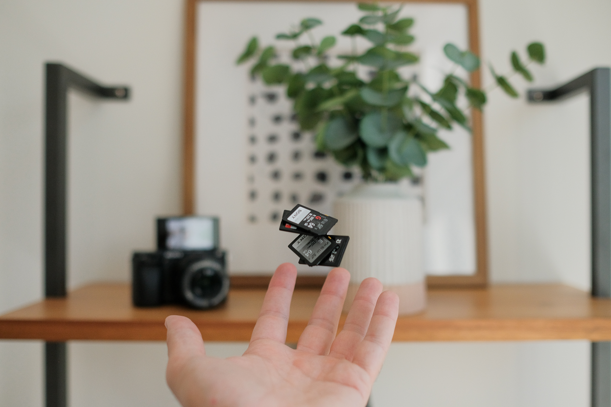 Best Sony a6400 Memory Cards for Photography &amp; Video - 2023 Edition